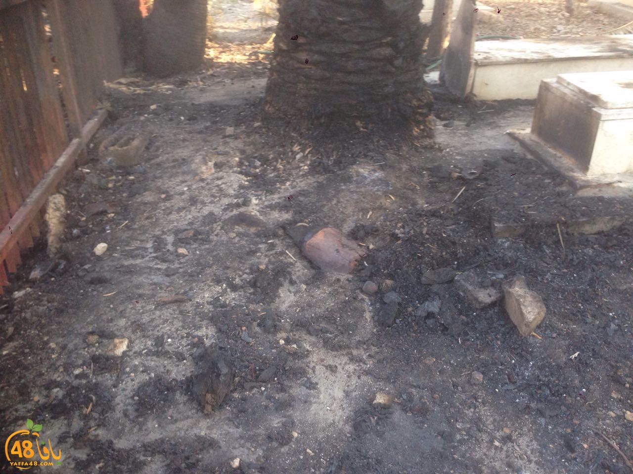 qqbr ramlasj (5).jpg